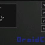 DroidCam​ starting server